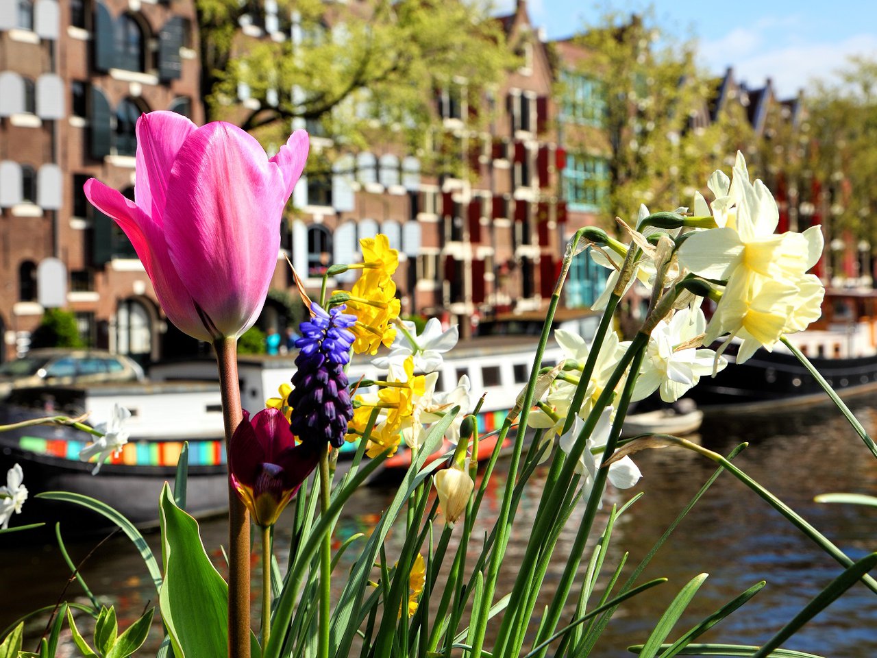 Amsterdam-citytrip.jpg
