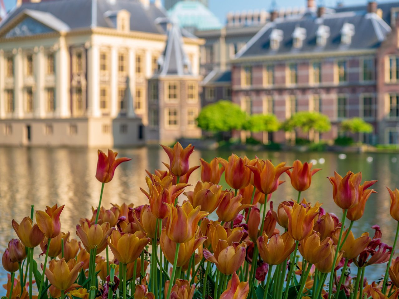 Citytrip-Babylon-Hotel-Den-Haag-image-2.jpg