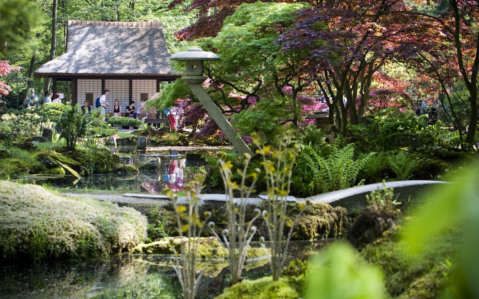 Den Haag City Guide Japanse Tuin