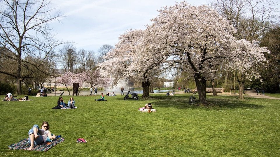 Fijnste stadsparken Nederland