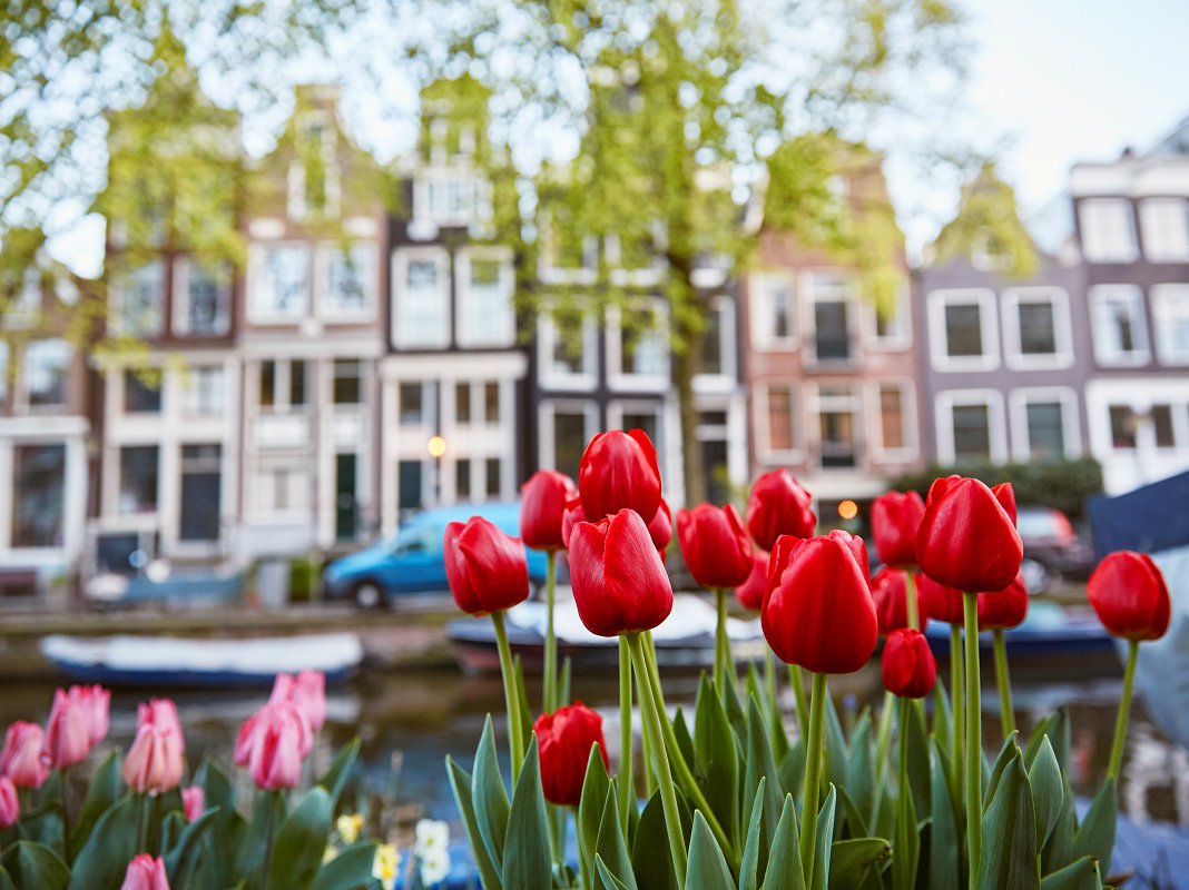 Lente-Paas-Arrangement-Amsterdam-image-1.jpg