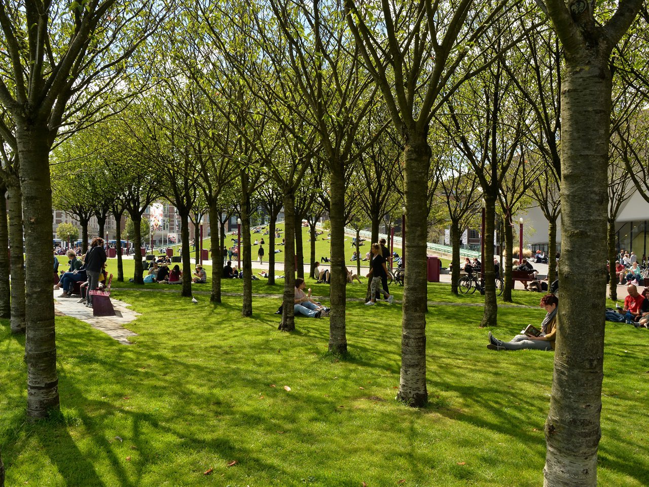 Fijnste stadsparken Nederland