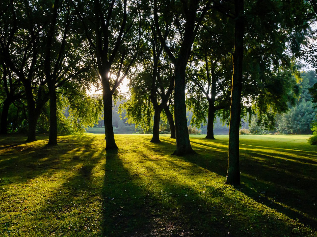 Verborgen-groene-plekken-Amsterdam-Rembrandtpark-image-1.jpg