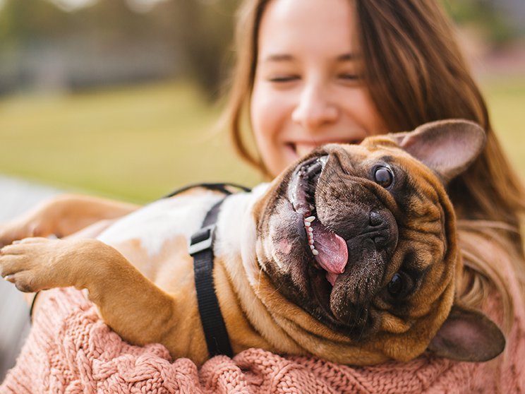 WEEK VD HOND 4.jpg