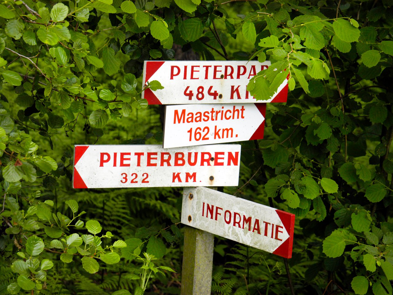 pieterpad