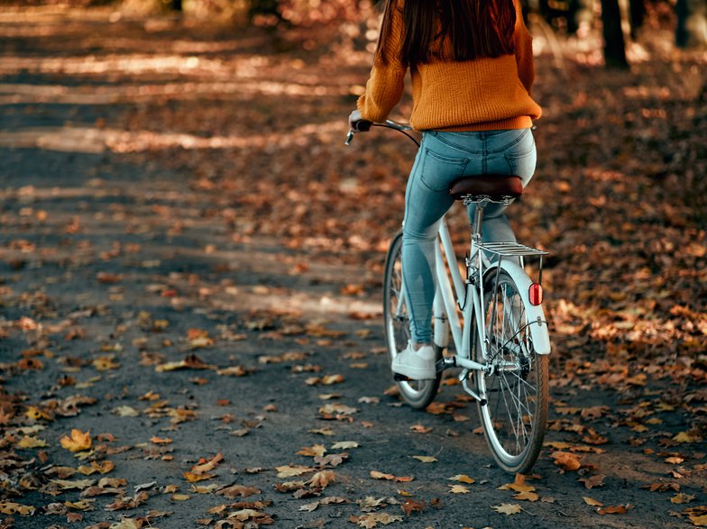 Herfst Fiets Bos
