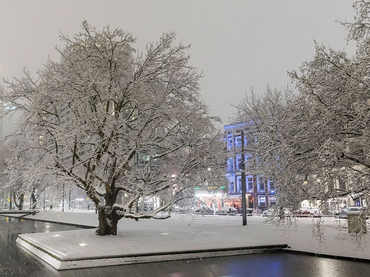 Winter Rotterdam